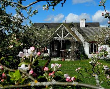 Фото номера Дом для отпуска Дома для отпуска Sireli Holiday Home г. Кясму 36
