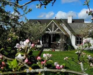 Фото Дома для отпуска Sireli Holiday Home г. Кясму